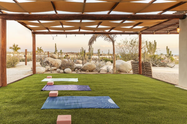 Top-notch amenities at Hidden Leaf Baja, luxury, wellness, retreat, todos santos, mexico, well-being