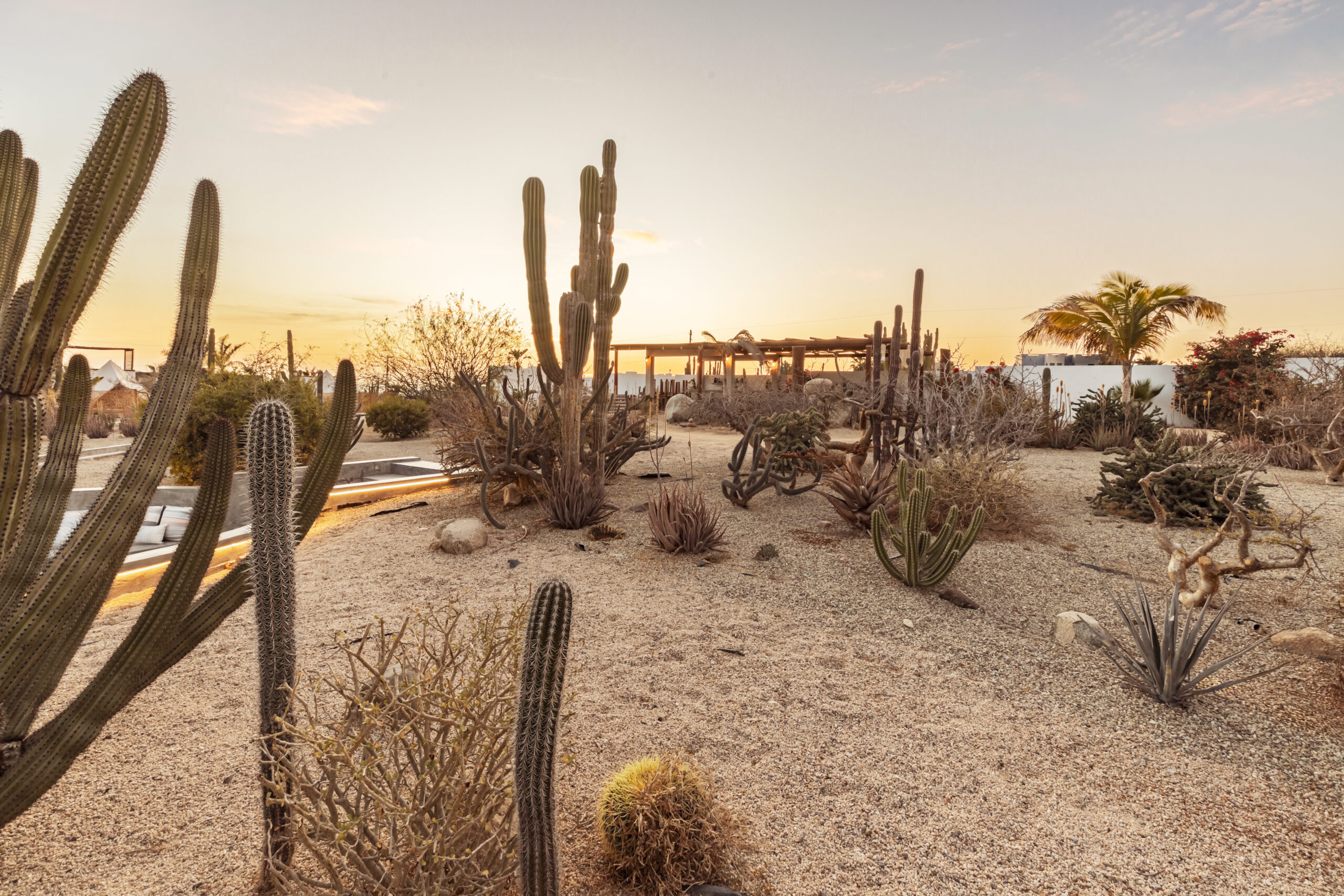 Top-notch amenities at Hidden Leaf Baja, luxury, wellness, retreat, todos santos, mexico, well-being