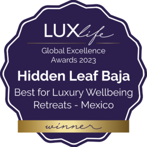 best retreat, luxury retreats, best luxury retreats in Mexico